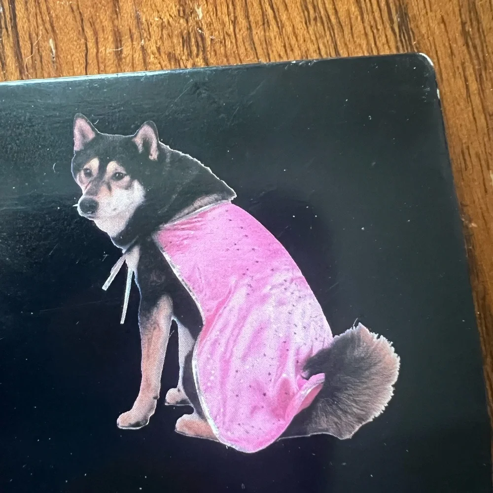 Pink and Silver Pet Costume